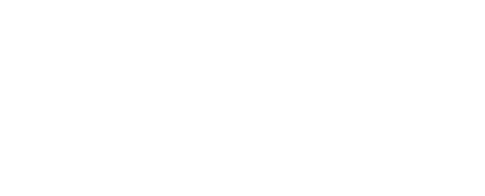 IT Professionals NZ